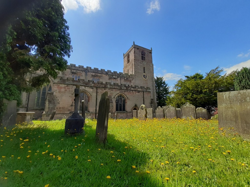 Wild flowers in the church yard on the north of the church